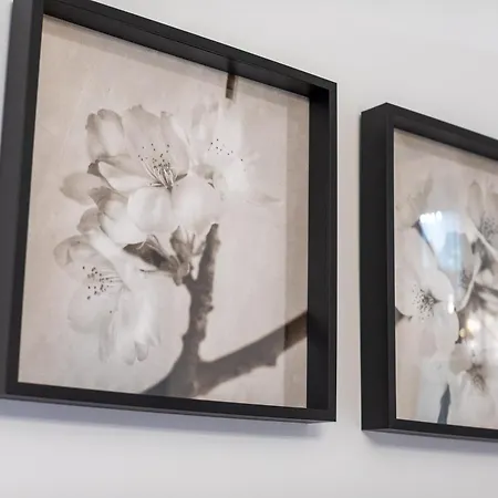 Amplio Avenida Alfonso Viii