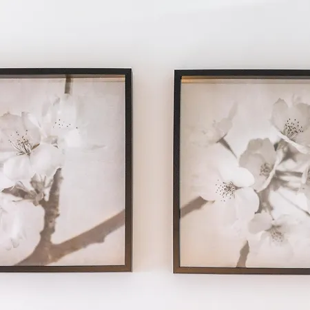 Apartmán Amplio Avenida Alfonso Viii *