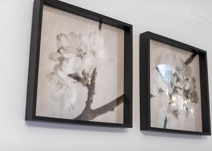 Amplio Avenida Alfonso Viii