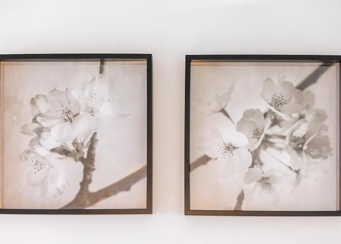 Apartamento Amplio Avenida Alfonso Viii *