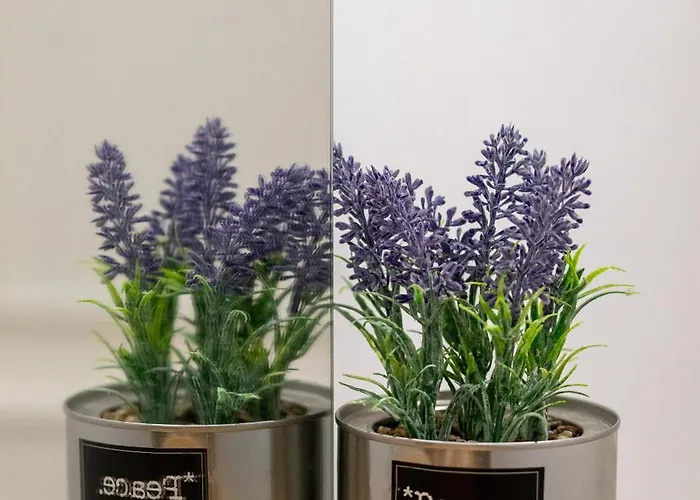 Amplio Avenida Alfonso Viii Plasencia