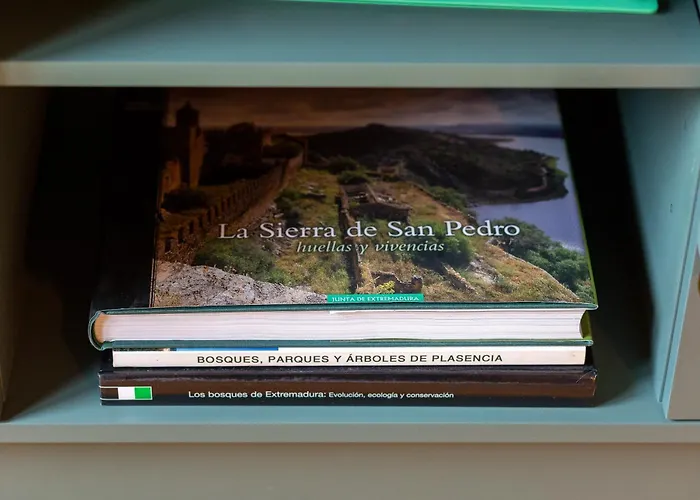 Amplio Avenida Alfonso Viii Apartmán *