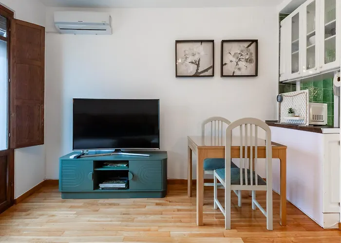 Amplio Avenida Alfonso Viii Apartamento *